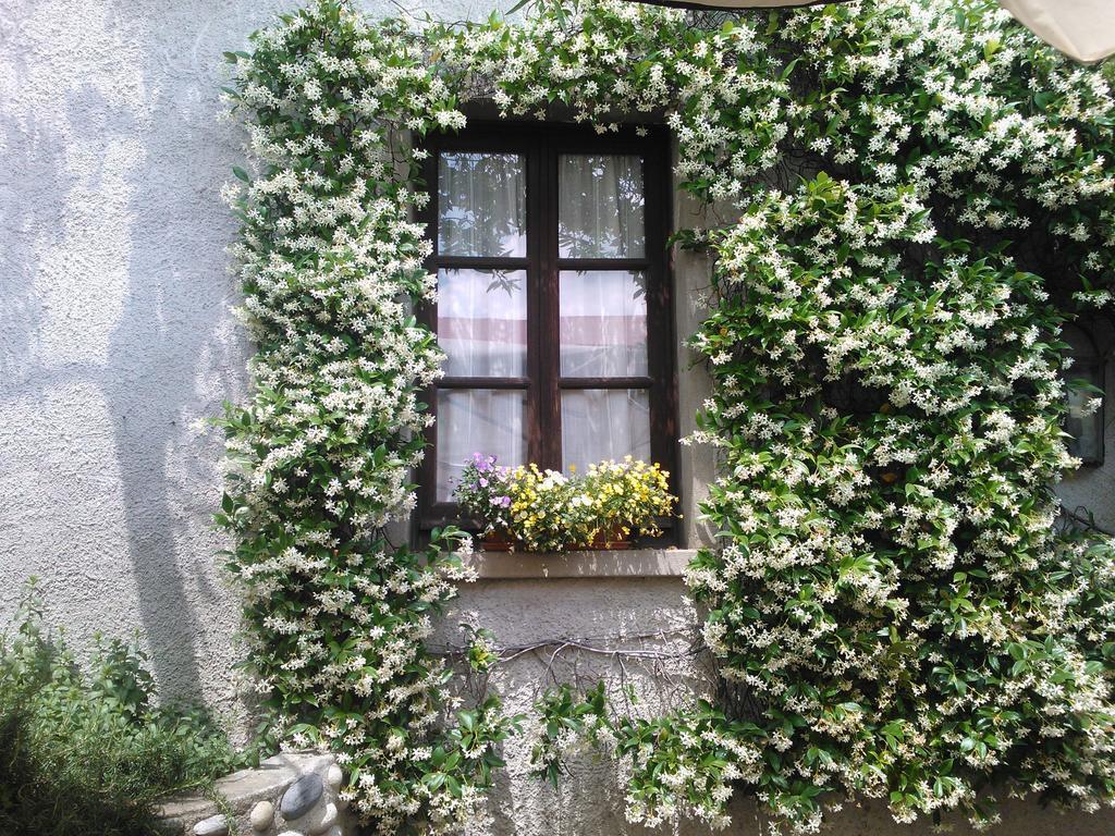 Agriturismo Cassinazza Orsenigo Bilik gambar