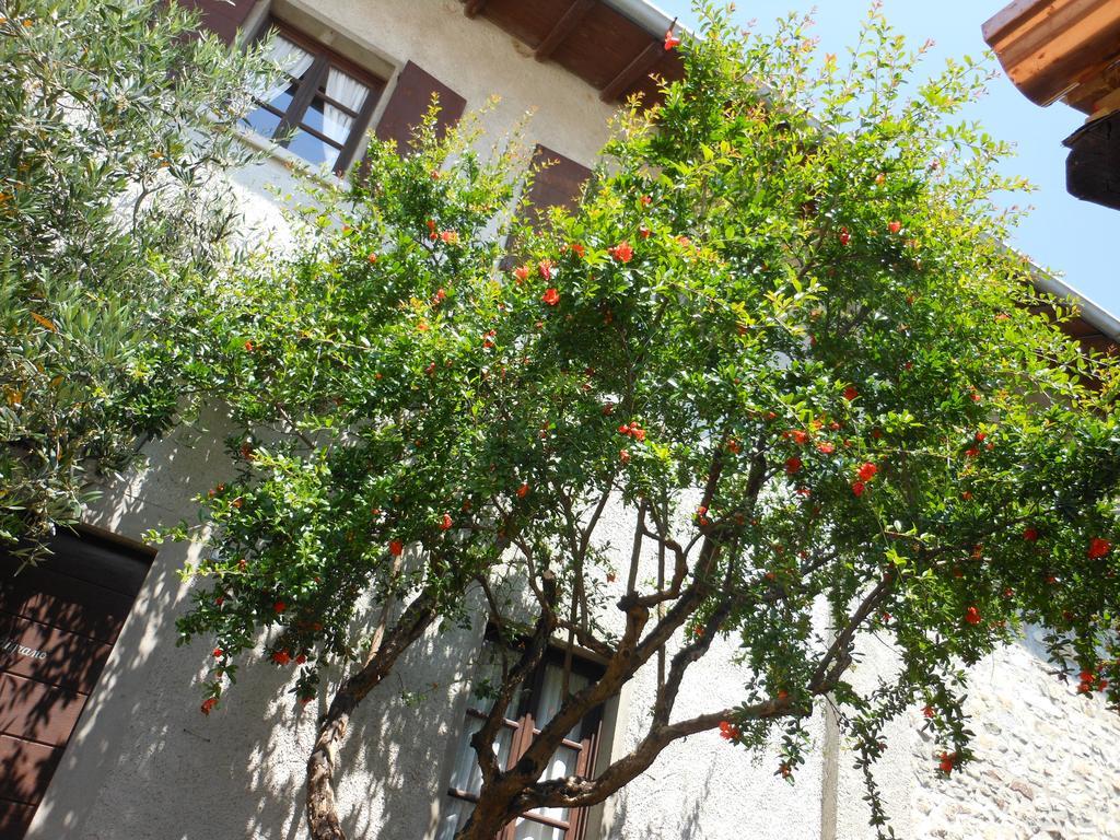 Agriturismo Cassinazza Orsenigo Luaran gambar