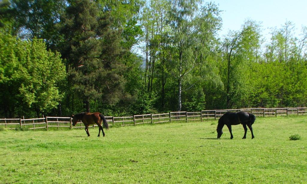 Agriturismo Cassinazza Orsenigo Luaran gambar